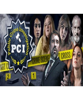 I Public Crime Investigation Steam Key GLOBAL